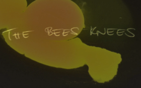 Das Gelbe vom Ei Das Gelbe vom Ei